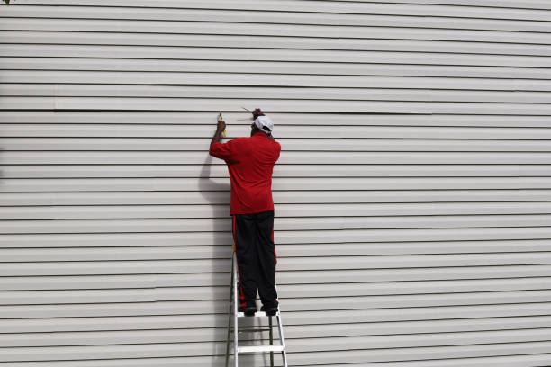 Best Brick Veneer Siding  in Memphis, TN